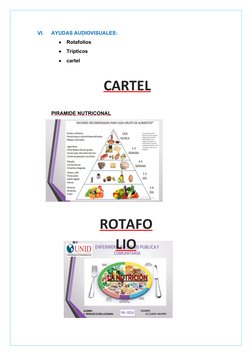 VI.
AYUDAS AUDIOVISUALES:

Rotafolios 

Trípticos

cartel
PIRAMIDE NUTRICONAL
CARTEL
ROTAFO
LIO
