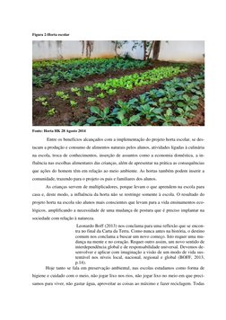 Figura 2-Horta escolar 
 
Fonte: Horta HK 28 Agosto 2014 
 Entre os benefícios alcançados com a implementação do proj