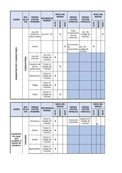 CARGO
ALTO
MEDIO
BAJO
ALTO
MEDIO
BAJO
ADMNISTRATIVO Y CONDUCTORES
CONDUCTORES
Ley 143 - 01
X
X
Fumar
X
X
X
X
Distraccion 
X
F