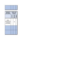 ALTO 
MEDIO
BAJO
X
RIESGOS 
ENTORNO
NIVEL DEL 
RIESGO
Mala 
señalizacion 
/ ausencia 
de señales
