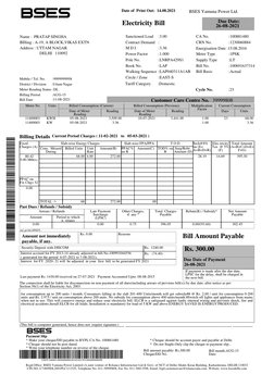 BSES Delhi Electricity Bill Details | PDF | Cheque | Electricity
