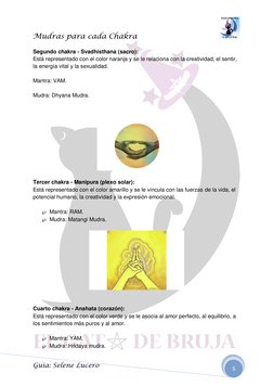 Mudras para cada Chakra                                 
 
Guía: Selene Lucero 
5 
 
Segundo chakra - Svadhisthana (sacro):