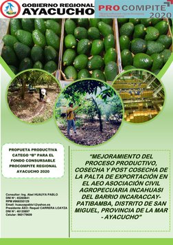 Consultor: Ing. Abel HUAUYA PABLO 
DNI N°: 45260841 
RPM #966550129 
Email: huauyapablo1@yahoo.es 
Presidente A