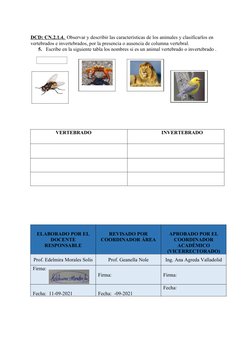 DCD: CN.2.1.4.  Observar y describir las características de los animales y clasificarlos en 
vertebrados e invertebrados, por