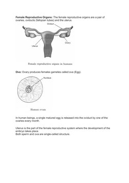 Female Reproductive Organs: The female reproductive organs are a pair of 
ovaries, oviducts (fallopian tubes) and the uterus.