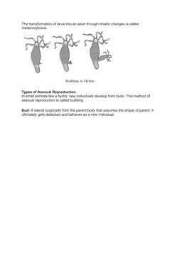 The transformation of larva into an adult through drastic changes is called 
metamorphosis.
Types of Asexual Reproduction
In