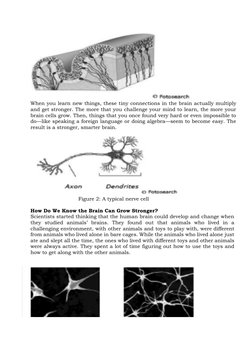 When you learn new things, these tiny connections in the brain actually multiply 
and get stronger. T
