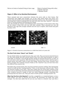 Nerves in brain of animal living in bare cage.     
Brain of animal living with other 
animals and toys  
© Mindset Work 
 
F