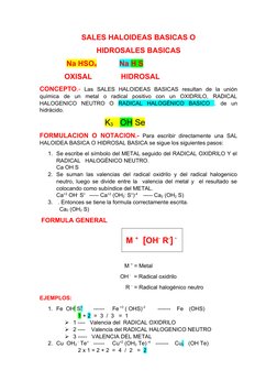 SALES HALOIDEAS BASICAS O
HIDROSALES BASICAS
             Na HSO4           Na H S
            OXISAL              HIDROSAL
C