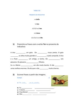 VERBO TER 
PRESENTE DO INDICATIVO 
eu tenho 
tu tens 
ele/ela/você tem 
nós temos 
eles/elas/vocês têm 
 
1) 
Preenche as fra