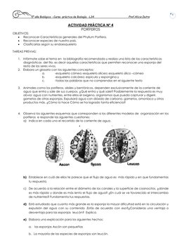 5º año Biológico - Curso  práctico de Biología  -L34                                           Prof.Alicia Dutra  
 
1 
ACTIV