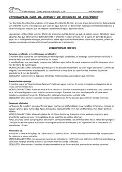 5º año Biológico - Curso  práctico de Biología  -L34                                           Prof.Alicia Dutra  
 
3 
INFOR