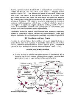Durante a primeira metade do século XX os esforços foram concentrados no
controle  da  doença,  em  1942,  Paul  Muller  obte
