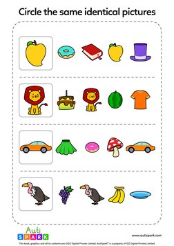 Matching Identical 29 Matching Identical Pictures 1 | PDF