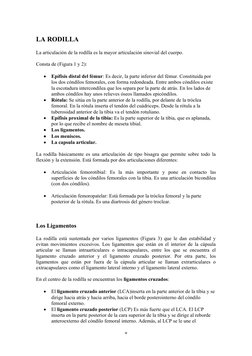 LA RODILLA
La articulación de la rodilla es la mayor articulación sinovial del cuerpo. 
Consta de (Figura 1 y 2):

Epífisis