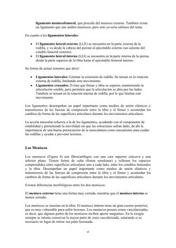 ligamento meniscofemoral, que procede del menisco externo. También existe 
un ligamento que une ambos meniscos, pero esto ya