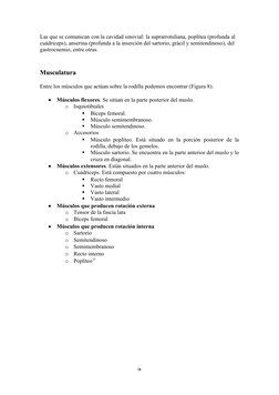 Las que se comunican con la cavidad sinovial: la suprarrotuliana, poplítea (profunda al 
cuádriceps), anserina (profunda a la