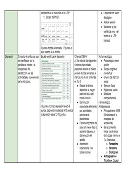Valoración de la evolución de la UPP
1. Escala de PUSH
0 puntos herida cicatrizada, 17 puntos el
peor estado de la herida
●
L
