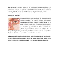 Los párpados: Son dos repliegues de piel superior e inferior movibles que 
sirven para proteger los ojos. Los parpados limita
