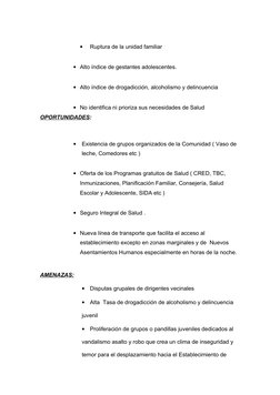 •
Ruptura de la unidad familiar
• Alto índice de gestantes adolescentes.
• Alto índice de drogadicción, alcoholismo y delincu