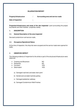 DILAPIDATION REPORT 
 
 
Property/Infrastructure 
: 
Surrounding area and service roads 
 
Date of Inspection 
: