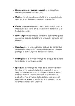• Lámina ungueal / cuerpo ungueal: es la estructura 
córnea (a lo que llamamos uña). 
 
• Matriz: es la raíz donde nace la lá