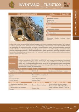 195 
DISTRITO SANTO TOMAS 
INVENTARIO    TURÍSTICO 
 
SITIO ARQUEOLÓGICO CARANGOTE 
Cód. Web: …. 
Ficha N°007 
 
Ubicac