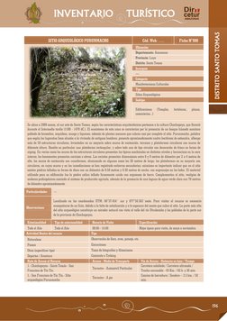 196 
DISTRITO SANTO TOMAS 
INVENTARIO    TURÍSTICO 
 
SITIO ARQUEOLÓGICO PURUNMACHO 
Cód. Web: …. 
Ficha N°008 
 
Ubica