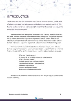 Business Analysis Fundamentals Guide | PDF | Software Testing ...