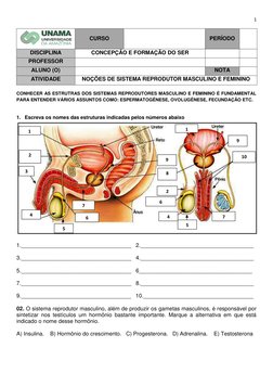 1 
 
 
 
CURSO  
 
 
 
PERÍODO 
 
  
DISCIPLINA 
CONCEPÇÃO E FORMAÇÃO DO SER 
 
 
PROFESSOR 
 
 
 
ALUNO (O) 
 
NOTA 
 
ATIVI