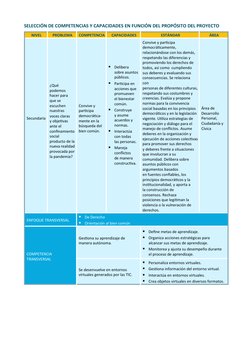 SELECCIÓN DE COMPETENCIAS Y CAPACIDADES EN FUNCIÓN DEL PROPÓSITO DEL PROYECTO
NIVEL
PROBLEMA
COMPETENCIA
CAPACIDADES
ESTÁNDAR