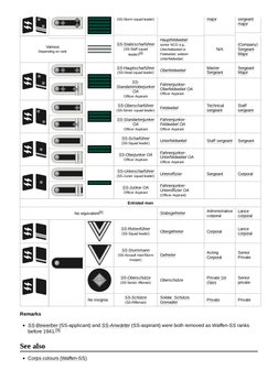 Ranks and Insignia of The Waffen-SS | PDF | Sergeant | Corporal