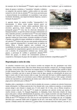 (https://pt.wikipedia.org/wiki/Ficheiro:Giant_Otter_Den.JPG) (https://pt.wikipedia.org/wiki/Ficheiro:Giant_otter_3.jpg)Arira