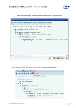 Change Request Management Guide SAP | PDF | Digital Technology | Computing