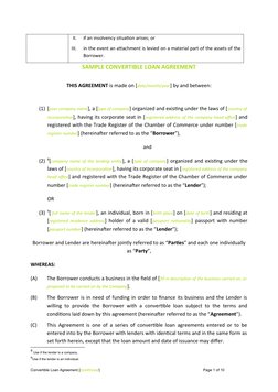 Sample Convertible Loan Agreement Template | PDF | Loans | Stocks
