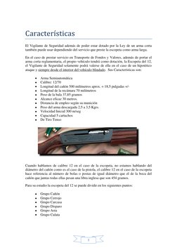 3 
 
Características 
El Vigilante de Seguridad además de poder estar dotado por la Ley de un arma corta 
también puede usa