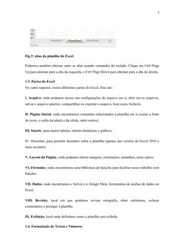 7
Fig 2: abas da planilha do Excel 
Podemos também alternar entre as abas usando comandos do teclado. Clique em Ctrl+Page
Up