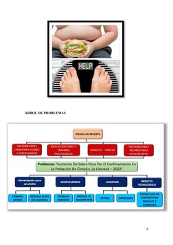 ÁRBOL DE PROBLEMAS
6
