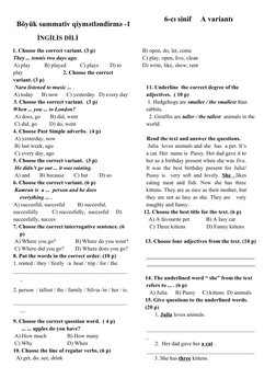 6th Grade English Language Test | PDF | Linguistic Morphology | Grammar