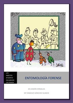  
 
IES ZAIDÍN VERGELES 
Mª ÁNGELES SÁNCHEZ GUADIX  
LOS 
INSECTOS 
AYUDAN A 
ESCLARECER 
UN CRIMEN 
ENTOMOLOGÍA FORENSE 
 

