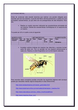 4 
 
 
ACTIVIDAD INICIAL:  
Antes de comenzar este estudio tenemos que realizar una parada obligada para 
recordar qué son lo