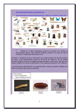 5 
 
http://www.laclaseinsecta.com/ordenes.html  (http://www.laclaseinsecta.com/ordenes.html)
http://entomologia.rediris.es/i