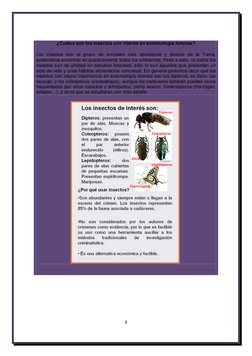 6 
 
 
¿Cuáles son los insectos con interés en entomología forense? 
Los insectos son el grupo de animales más abundante y di