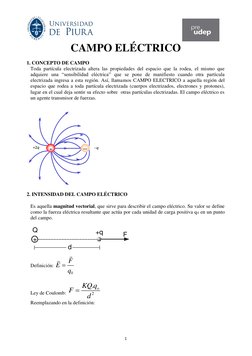 1 
CAMPO ELÉCTRICO 
 
1. CONC
