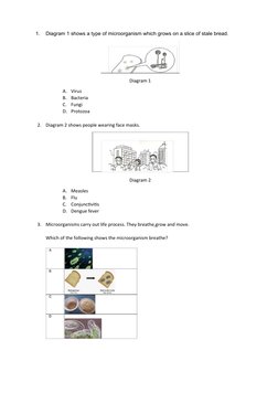 1.
Diagram 1 shows a type of microorganism which grows on a slice of stale bread.
Diagram 1
A.
Virus
B.
Bacteria
C.
Fungi
D.