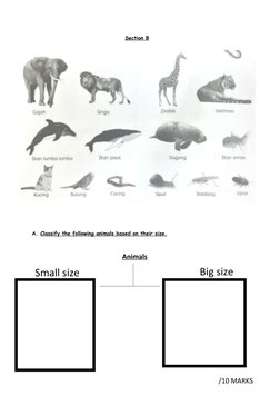 Section B
A. Classify the following animals based on their size.
 
 
Animals
Small size
Big size
/10 MARKS
