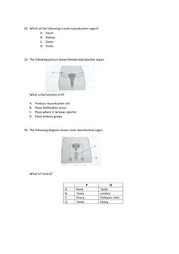 12. Which of the following is male reproduction organ?
A.
Heart
B.
Kidney
C.
Ovary
D. Testis
13. The following picture shows