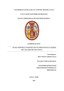 UNIVERSIDAD NACIONAL DE SAN ANTONIO ABAD DEL CUSCO 
FACULTAD DE INGENIERÍA DE PROCESOS 
ESCUELA PROFESIONAL DE INGENIERÍA