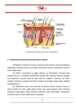 10 
Este material deve ser utilizado apenas como parâmetro de estudo deste Programa. Os créditos deste conteúdo são
