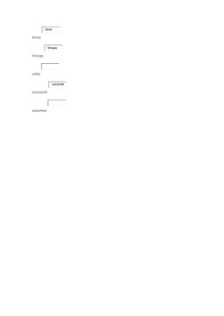 torax 
triceps 
vaho 
verosimil 
volumen 
tórax
tríceps
verosímil
